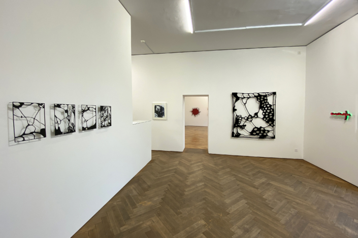 Installation view Galerie Bernhard Bischoff & Partner 2023