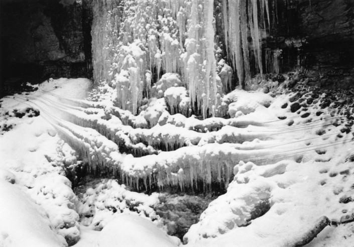 Martin Möll, «Natur», 2013, Fotografie